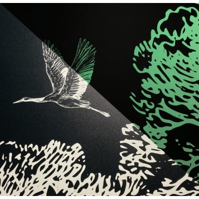 HEXGLOW01 - Film Photoluminescent